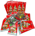 DVD-Adventskalender nur 49,— Euro (inklusive Porto)