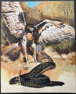 Fix und Foxi Originalzeichnungen 3er-Set