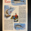 Felix (Bastei Verlag ab 1958) Heft 303