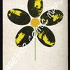 The Rolling Stones - Flowerrs  - Gideon Music Inc. (Artikel 375)