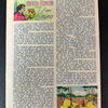Pecos Bill Nummer 10 (Mondial Verlag 1953-1956)