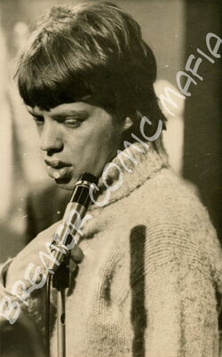 Rolling Stones  - Originalfoto der 60er Jahre (Motiv 253)