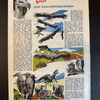 Felix (Bastei Verlag ab 1958) Heft 291