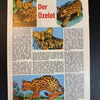 Felix (Bastei Verlag ab 1958) Heft 330