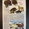 Felix (Bastei Verlag ab 1958) Heft 295