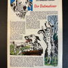 Felix (Bastei Verlag ab 1958) Heft 262