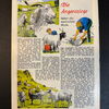 Felix (Bastei Verlag ab 1958) Heft 243