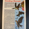Felix (Bastei Verlag ab 1958) Heft 313