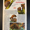 Felix (Bastei Verlag ab 1958) Heft 300