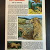 Felix (Bastei Verlag ab 1958) Heft 316