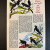 Felix (Bastei Verlag ab 1958) Heft 257