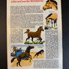 Felix (Bastei Verlag ab 1958) Heft 258