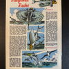 Felix (Bastei Verlag ab 1958) Heft 312