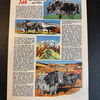 Felix (Bastei Verlag ab 1958) Heft 314