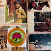 Micky Maus Jahrgang 1975 (Ehapa Verlag ab 1951) Nummer  6